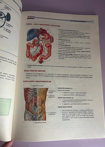 Entegre Temel Hepatobiliyer Sistem Kitabı