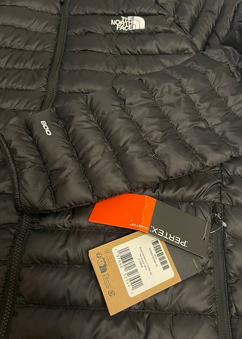 The North Face Erkek Siyah İnce Dolgulu Mont - Görsel 8