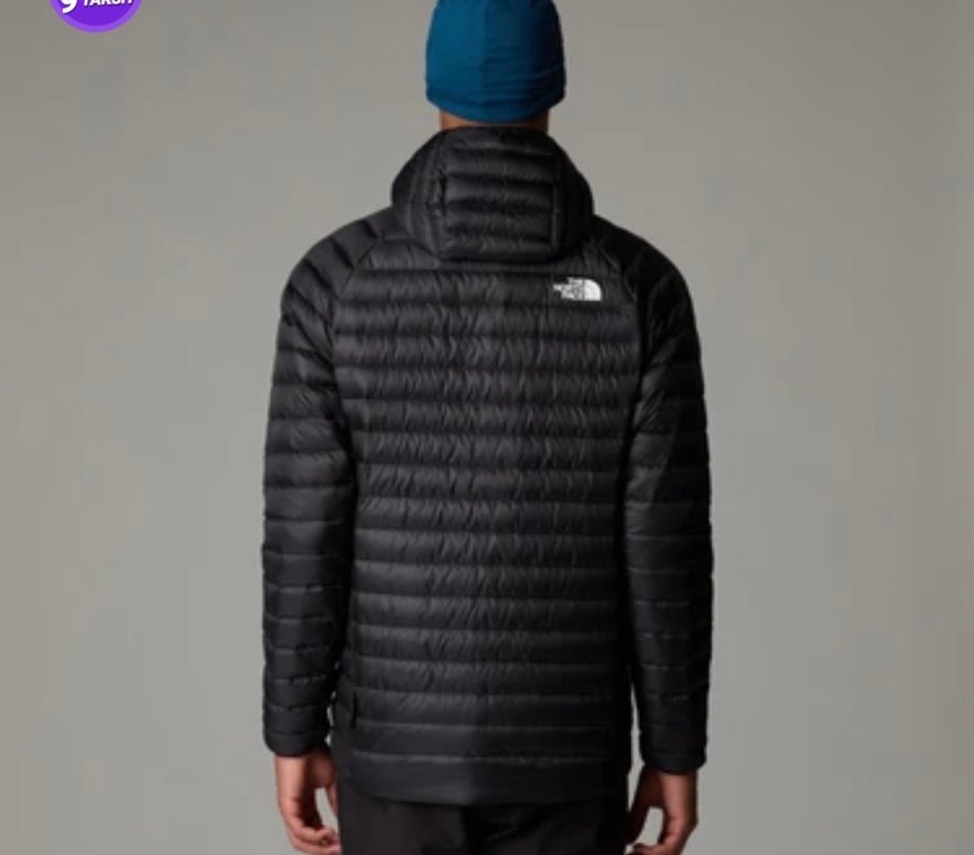 The North Face Erkek Siyah İnce Dolgulu Mont - Görsel 2