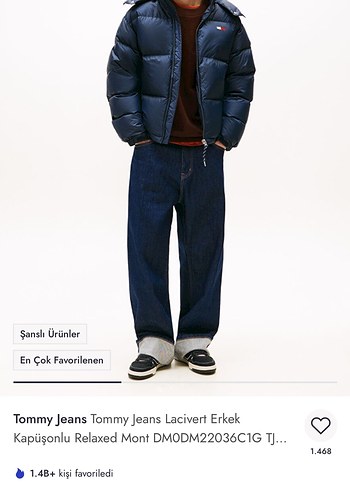 Tommy Jeans Lacivert Erkek Kapüşonlu Relaxed Mont - Görsel 2