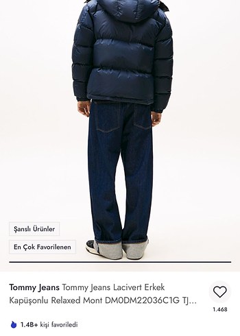 Tommy Jeans Lacivert Erkek Kapüşonlu Relaxed Mont - Görsel 3