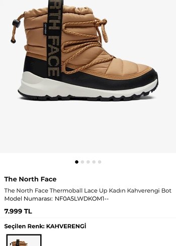 north-face 39