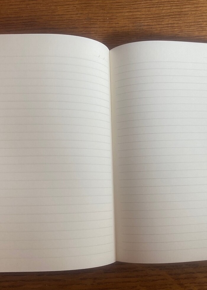 100 sayfalık çizgili defter - Görsel 3