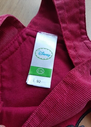 Walt Disney World 2 Yaş