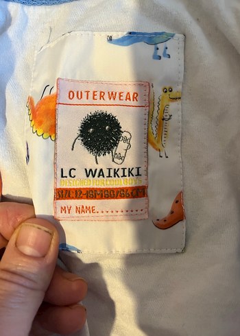 Erkek Çocuk Dinozor Desenli Kapüşonlu Yağmurluk - Görsel 4