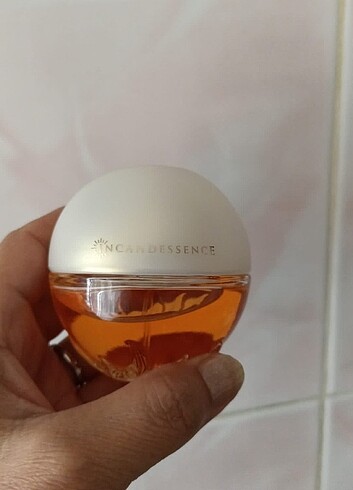 Avon incandessence
