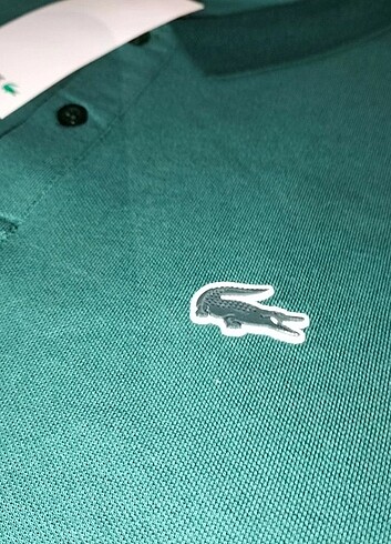 Lacoste 