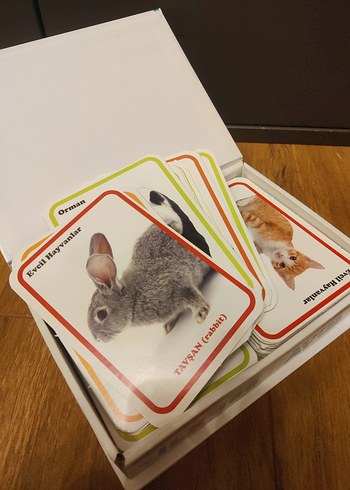 İlk 100 Hayvan Zeka Kartları - Görsel 2