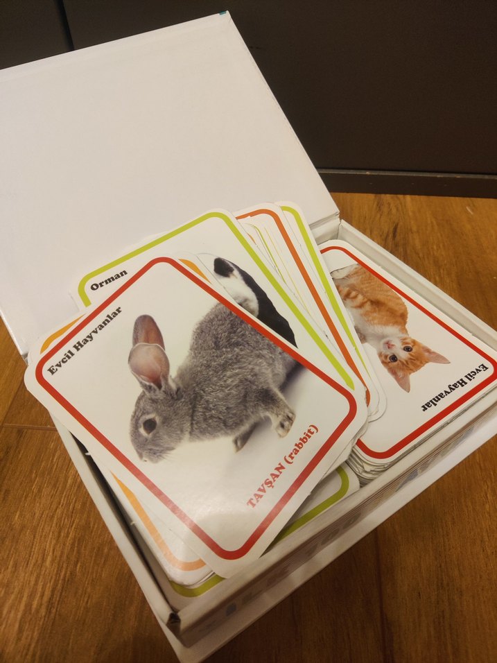 İlk 100 Hayvan Zeka Kartları - Görsel 2