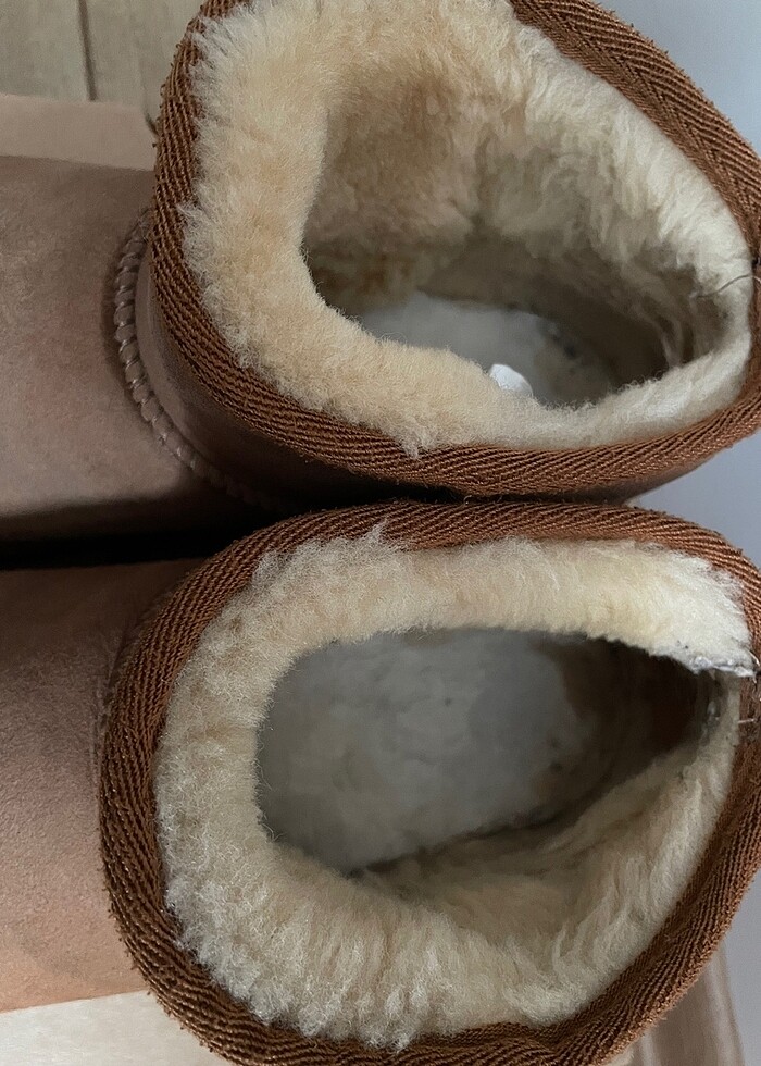 Orjinal pegia bot - Görsel 4