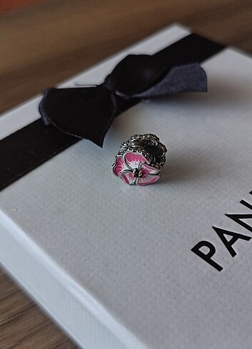 Pandora 925 ayar gümüş Pandora charm