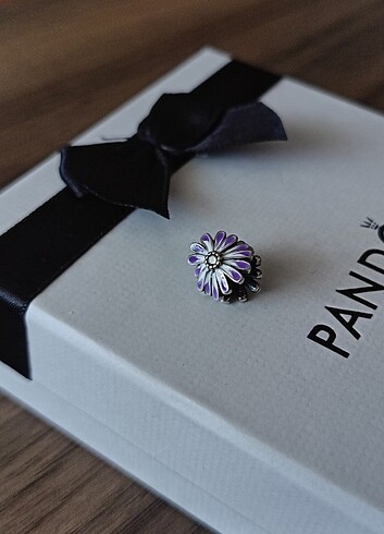 Pandora 925 ayar gümüş Pandora charm