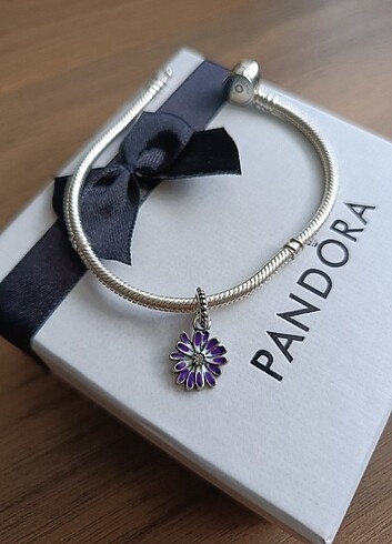 925 ayar gümüş Pandora charm