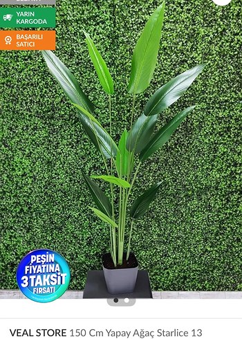 150 cm Yeşil Starlice Yapay Bitki