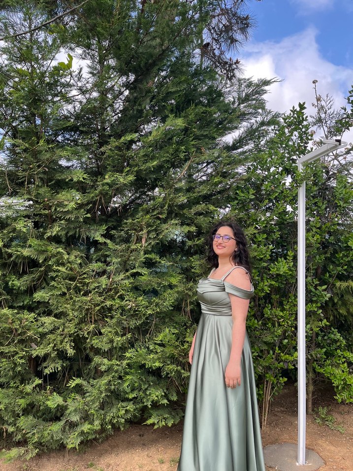 Uzun Abiye Elbise - Görsel 4