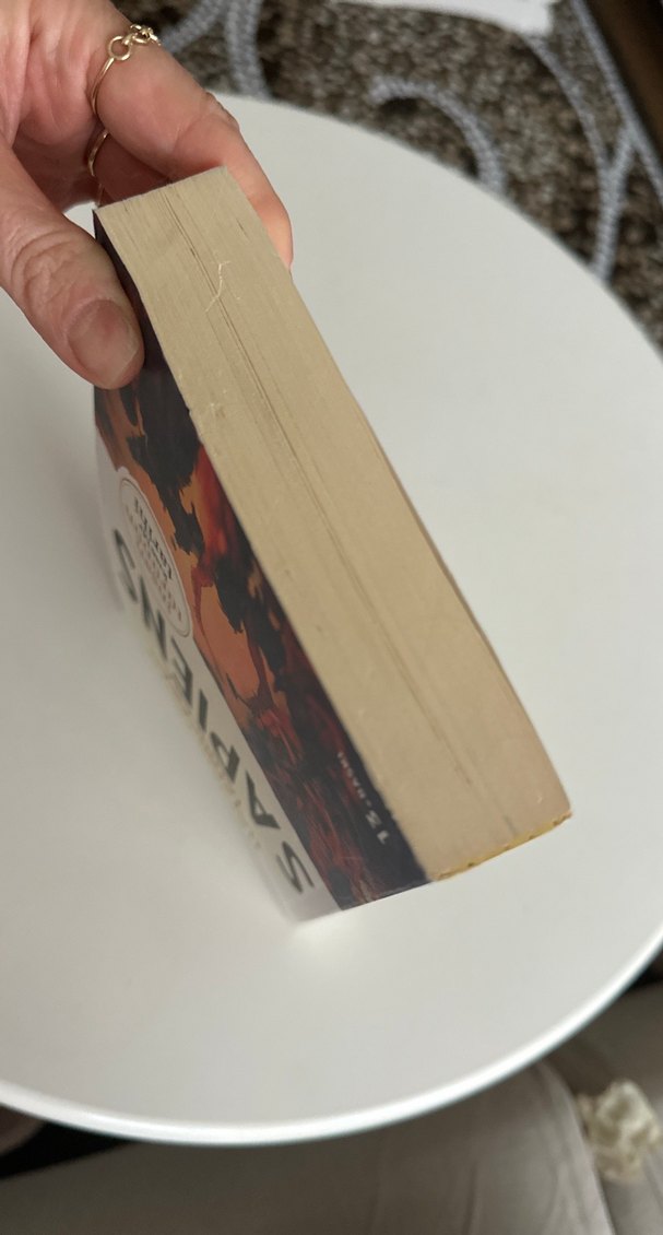 Hayvanlardan Tanrılara Sapiens - Yuval Noah Harari - Görsel 3