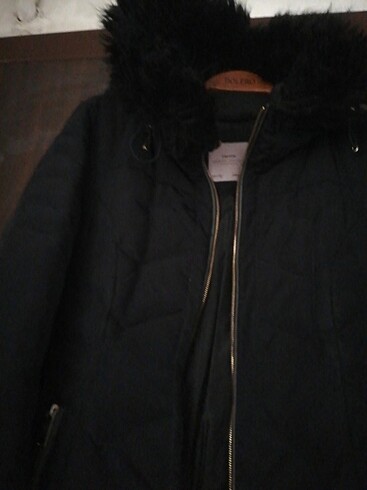 l Beden lacivert Renk Zara mont 