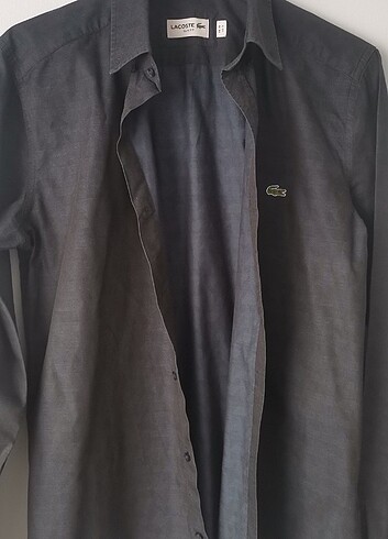 Lacoste gömlek
