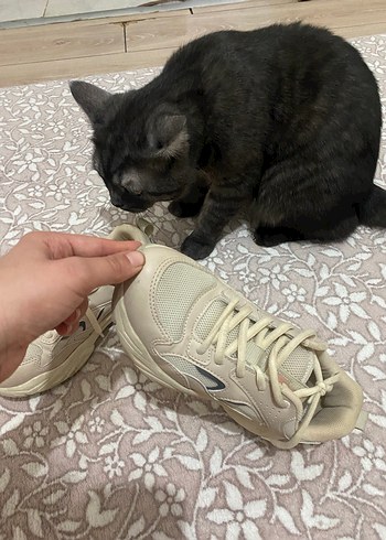 Kadın Beyaz Platform Topuklu Bağcıklı Spor Ayakkabı - Görsel 10