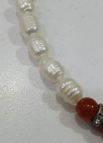 Diğer orijinal tatlı su incisi 