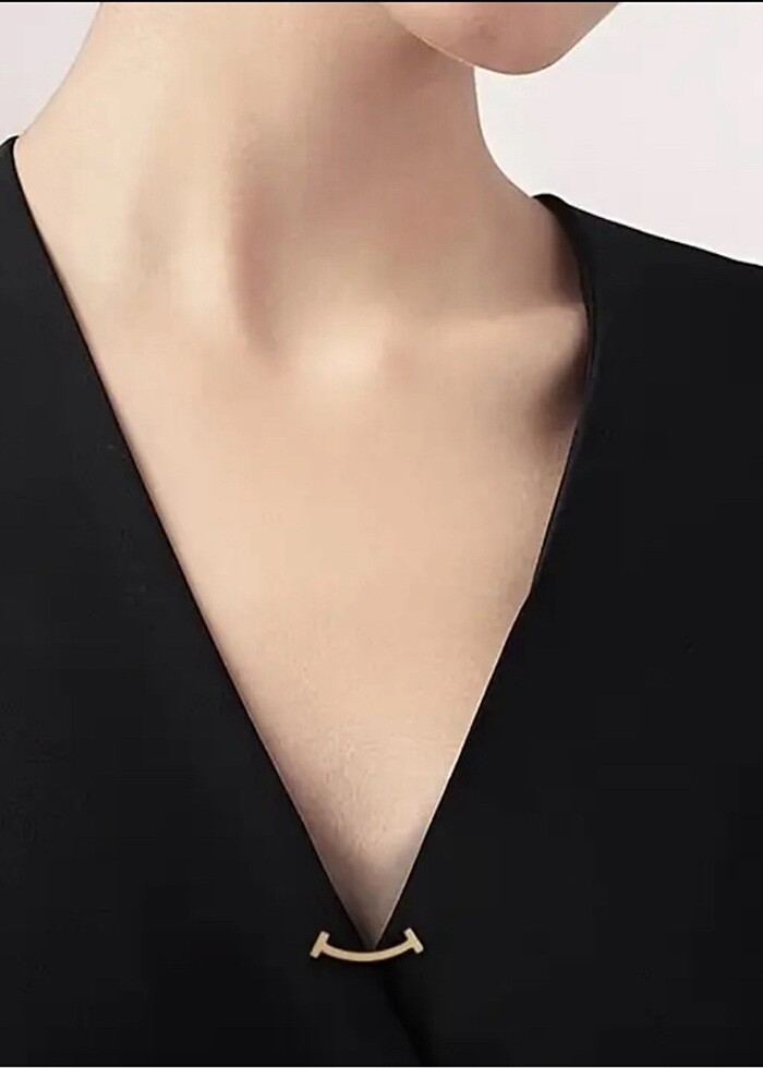 Gümüş Yaka İğnesi - Görsel 2