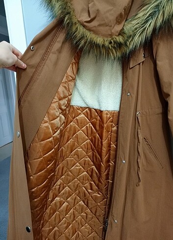 Camel uzun kaban