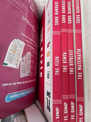 11. sınıf ayt final seti