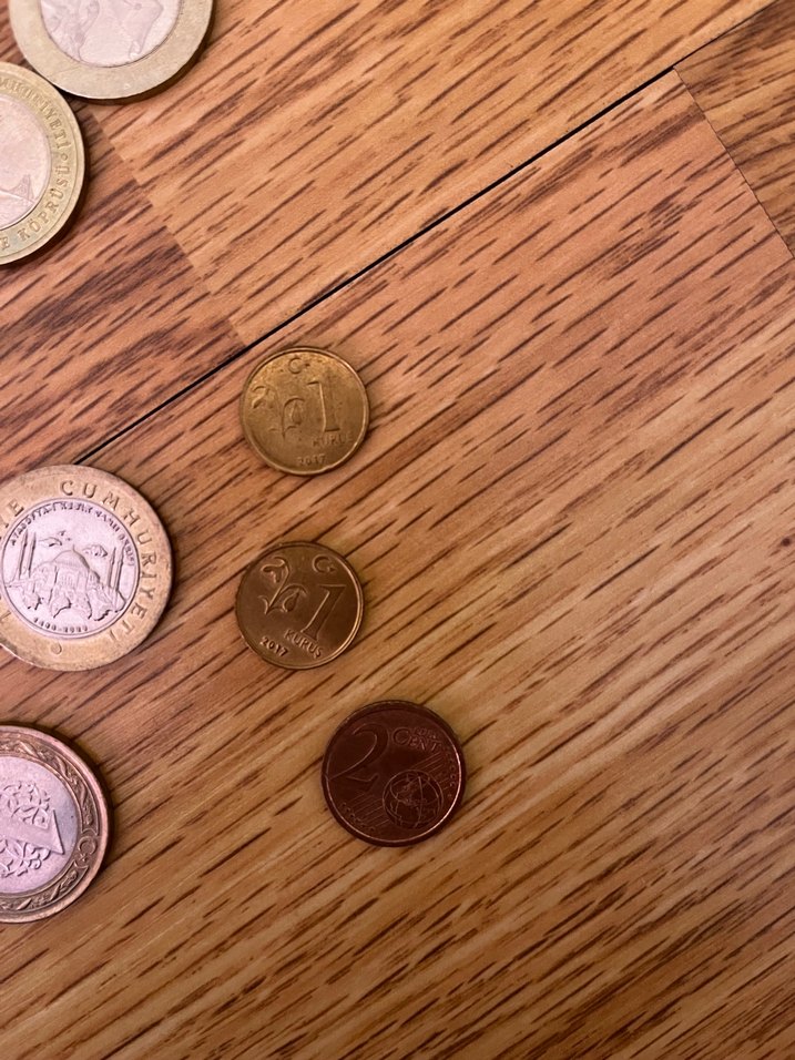 Özel basım 1tl bozuk para - Görsel 3