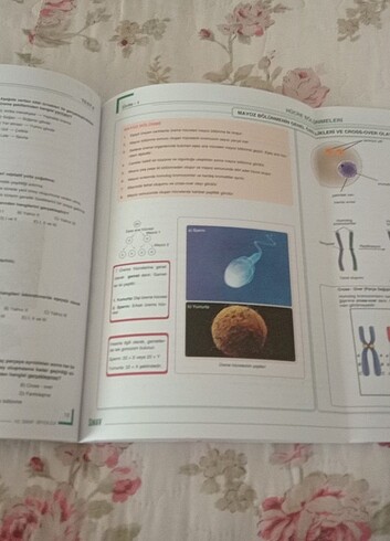 Biyoloji sınav yayınları 10. Sınıf test+konu kitabı - Görsel 4