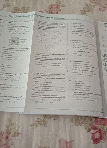 Biyoloji sınav yayınları 10. Sınıf test+konu kitabı - Görsel 6