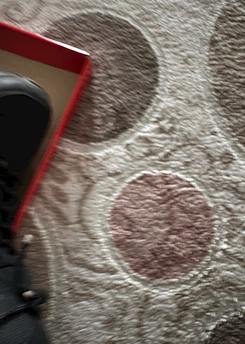 Lumberjack waterproof ayakkabı 43 numara - Görsel 7