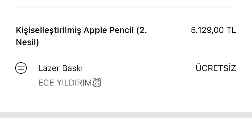 Beden Renk apple pencil kalem 2. nesilin