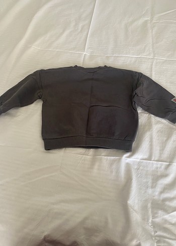 Gri Baskılı Uzun Kollu erkek Sweatshirt - Görsel 2