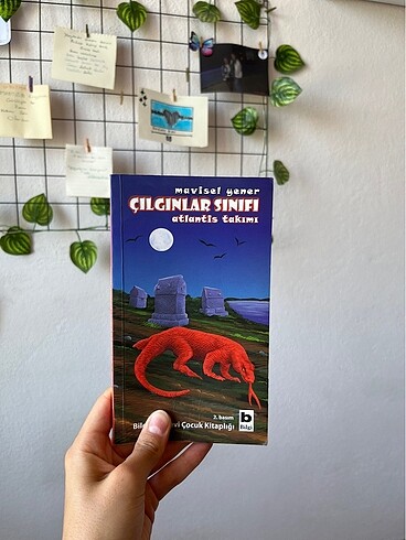 Çılgınlar sınıfı