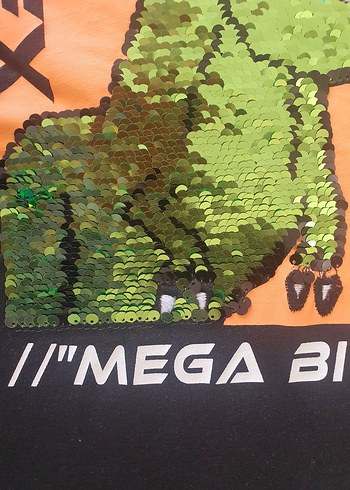 Diğer Erkek Çocuk Gri Dinozor Baskılı Tişört