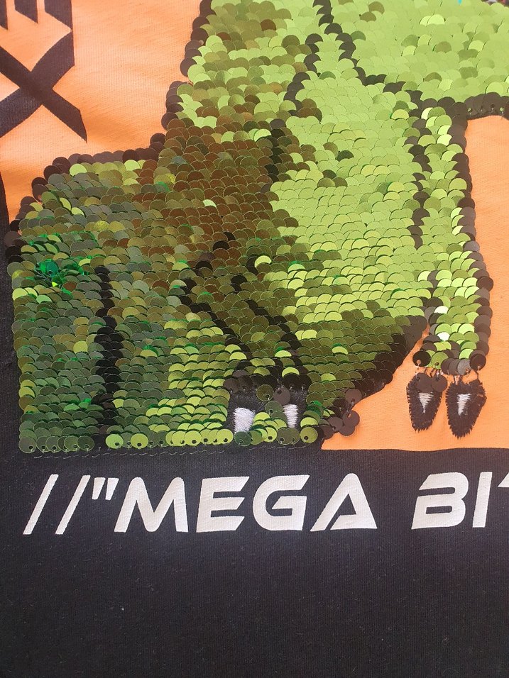 Erkek Çocuk Gri Dinozor Baskılı Tişört - Görsel 2