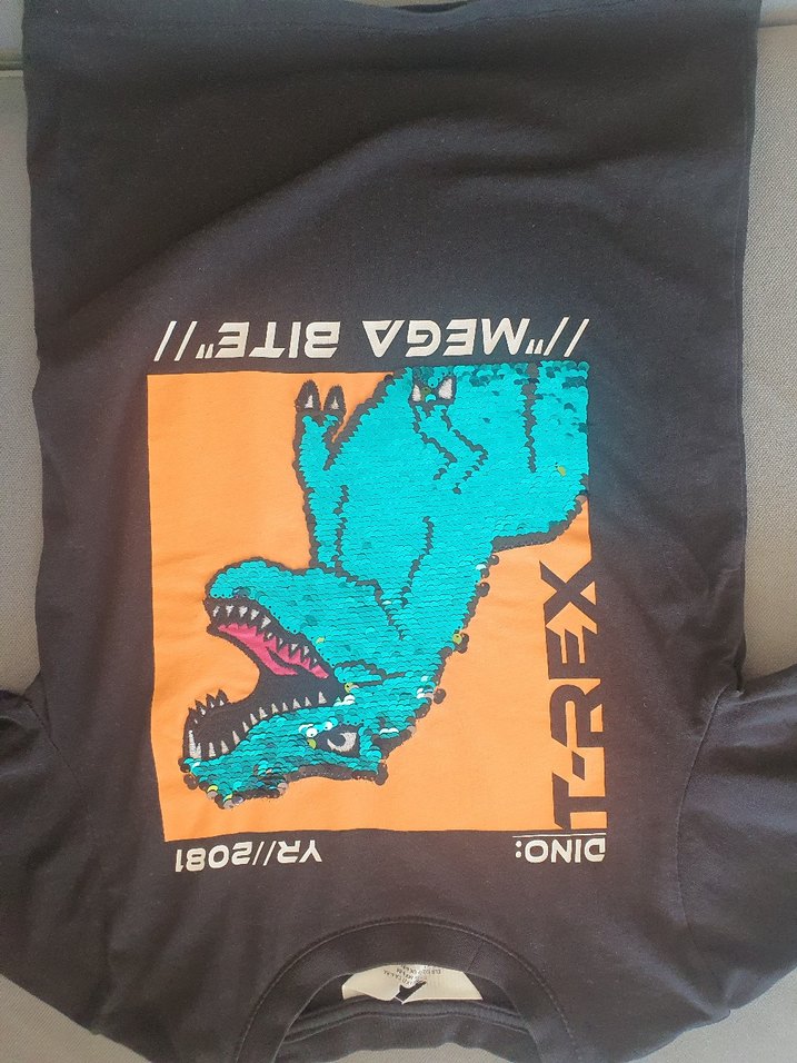 Erkek Çocuk Gri Dinozor Baskılı Tişört - Görsel 3