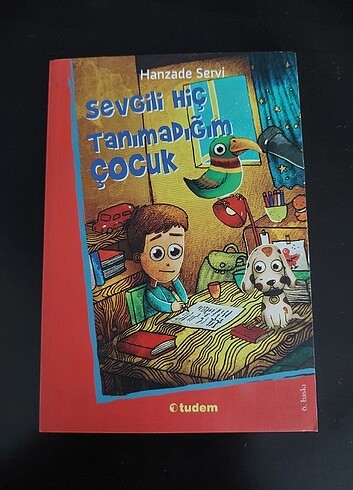 Sevgili Hiç Tanımadığım Çocuk Hikaye Kitabı