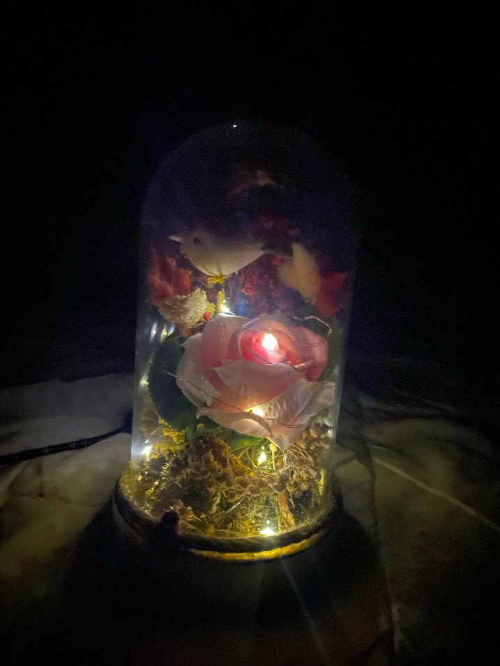 Pembe Güllü Dekoratif Cam Fanus - Görsel 2