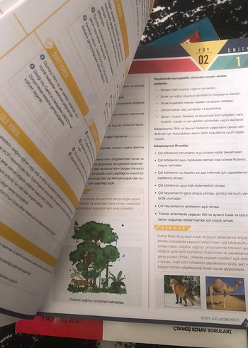 AYT Coğrafya Konu Anlatım Föyleri