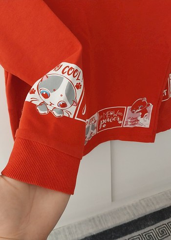 Kırmızı Baskılı Erkek Çocuk Sweatshirt - Görsel 2