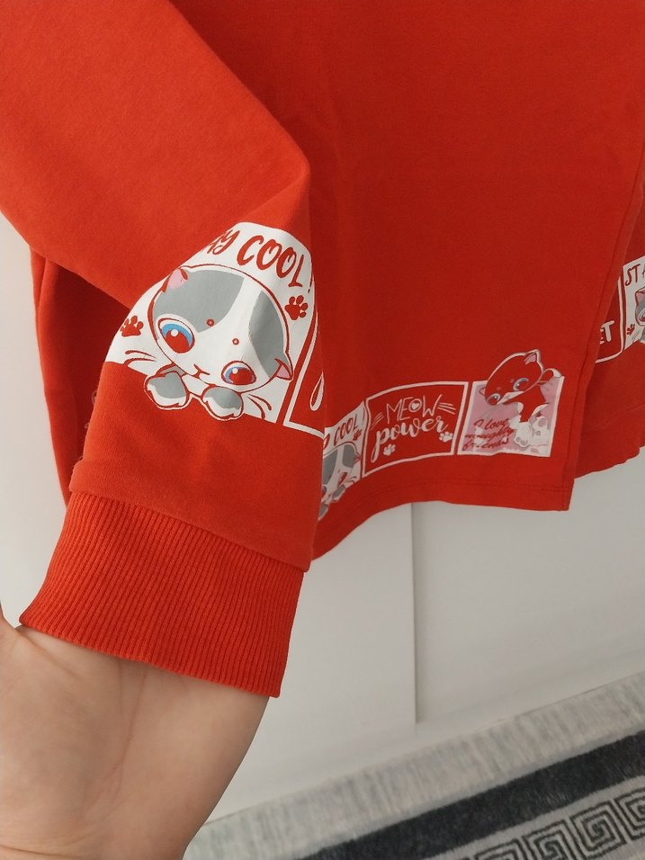 Kırmızı Baskılı Erkek Çocuk Sweatshirt - Görsel 2