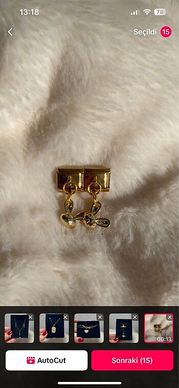 Çelik Charm