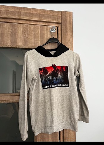 Erkek Gri Kapüşonlu Baskılı Sweatshirt - Görsel 2