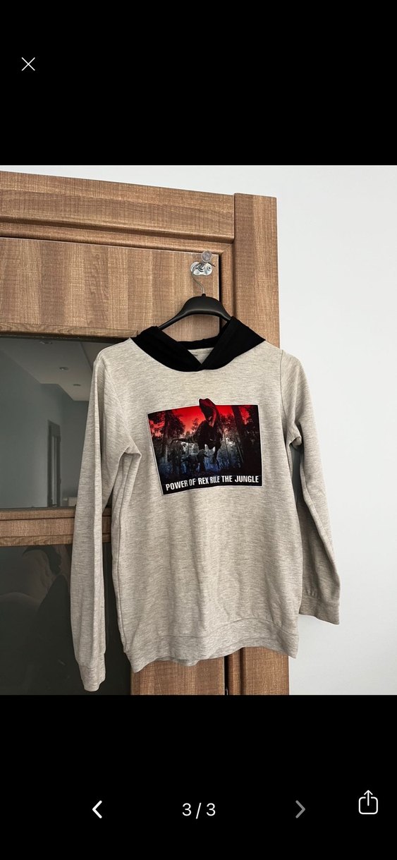 Erkek Gri Kapüşonlu Baskılı Sweatshirt - Görsel 2