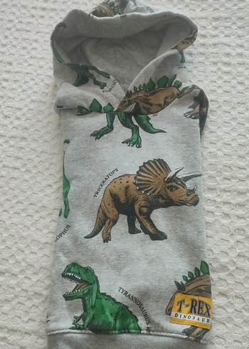 24-36 Ay Beden gri Renk Gri Kapüşonlu Dinozor Baskılı Sweatshirt