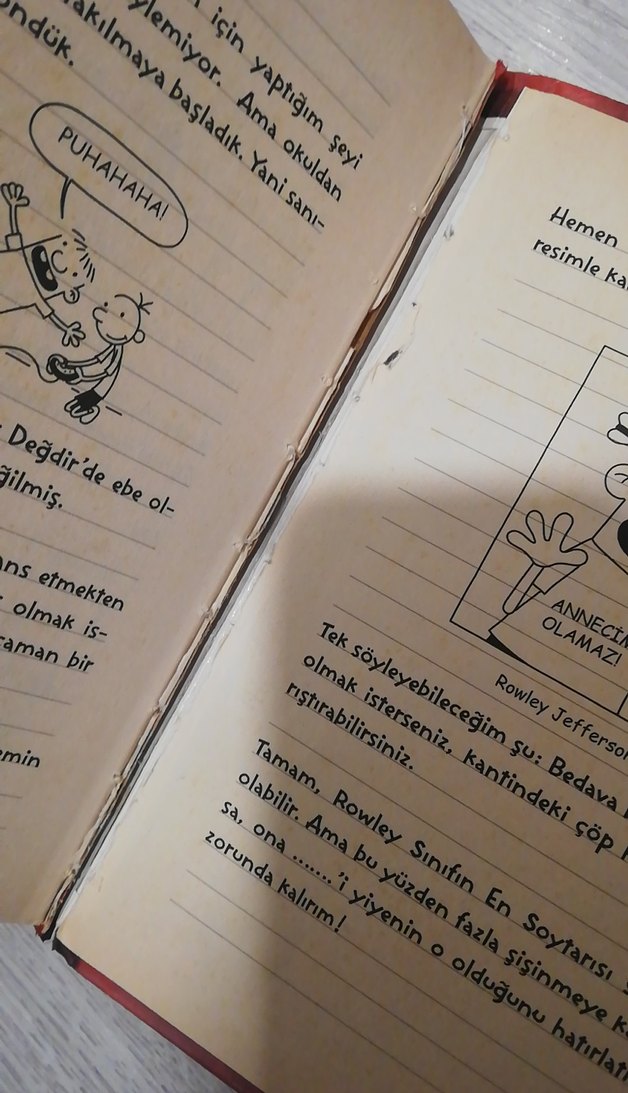 Saftirik Greg'in Günlüğü - Görsel 5