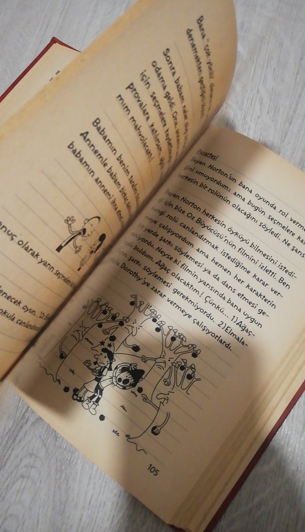 Saftirik Greg'in Günlüğü - Görsel 4