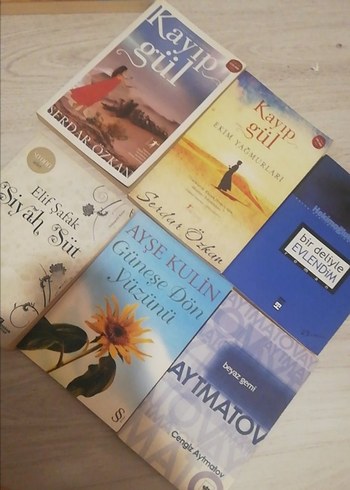 Beden Romanlar(Hepsinin fiyatı farklı lütfen almadan önce sorun)