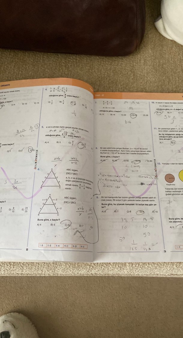 Problemlerin İlacı - Tamamı Çözümlü Testler Kitabı - Görsel 3